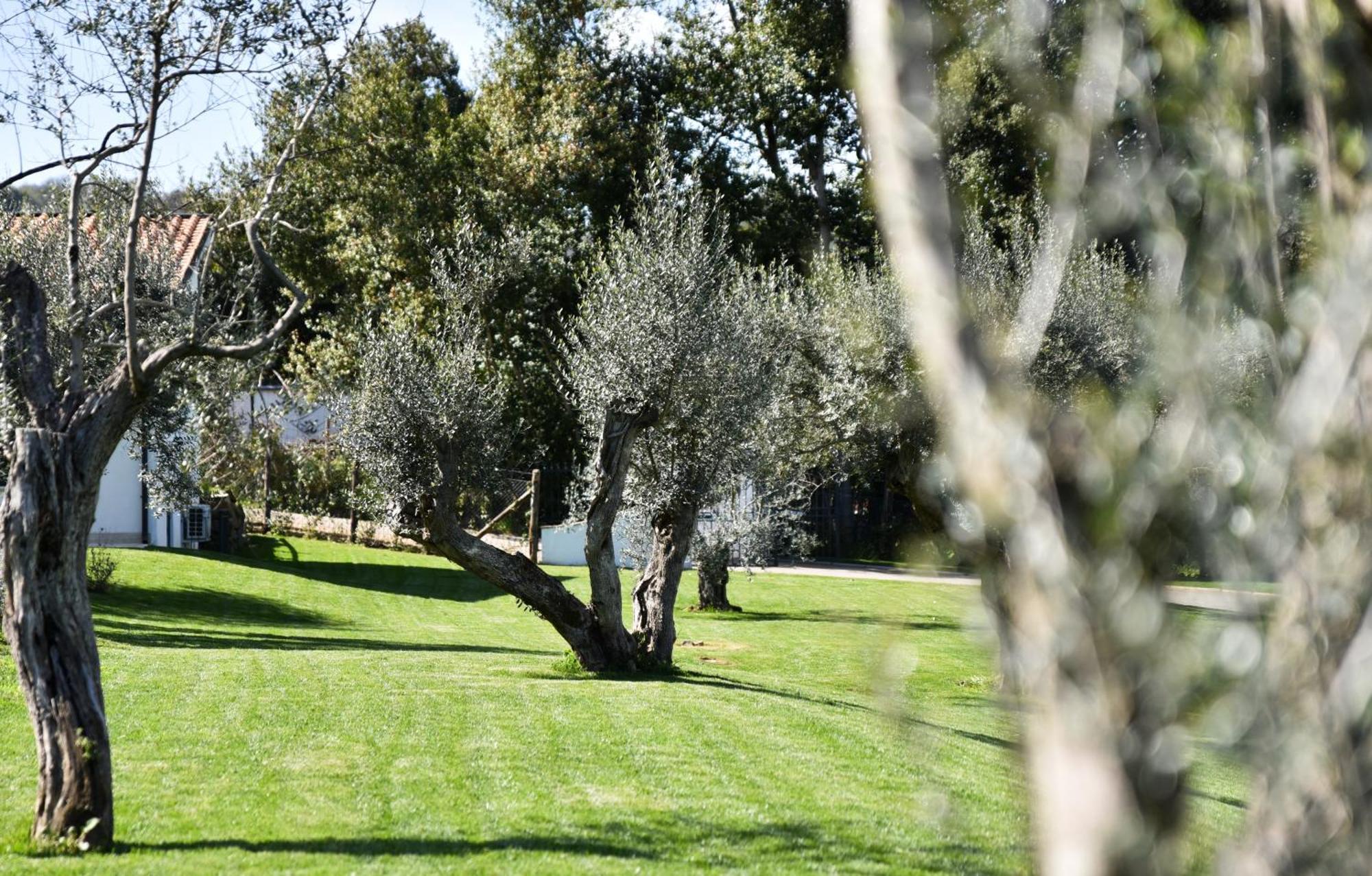Vigna Caio Relais & Spa (Adults Only) Bracciano  Esterno foto